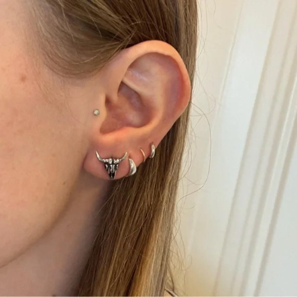 The Aliyah Western Bull Head Silver Stud Earrings Longhorns Long Horns Texas 26$